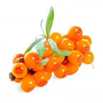 ORGANIC SEABUCKTHORN OIL